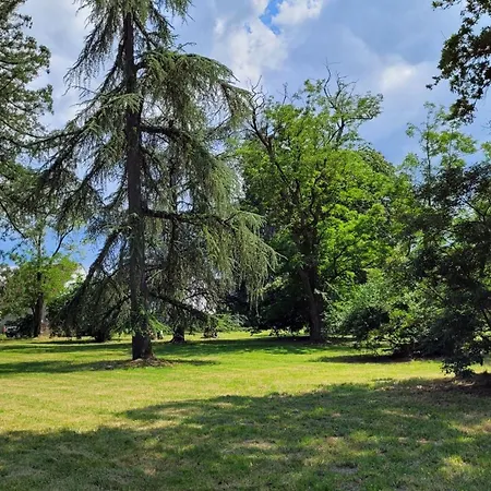 Hotel Saint Pierre *